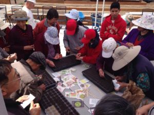 Seed Sorting and Planting